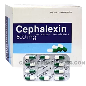 cephalexin